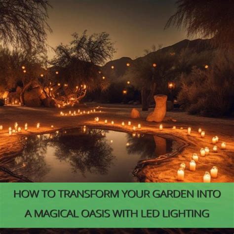 How to Choose the Right Solar Magic Garden Lights for Your Outdoor Space